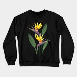 Strelitzia a Tropical Flower in Kenya - Africa Crewneck Sweatshirt